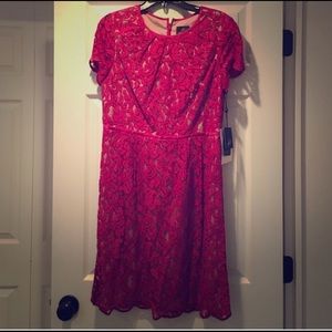 Beautiful Adriana Pappel dress